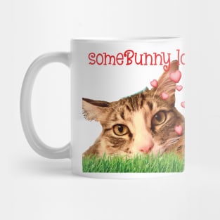 Some Bunny loves you Maine Coon cat Mug